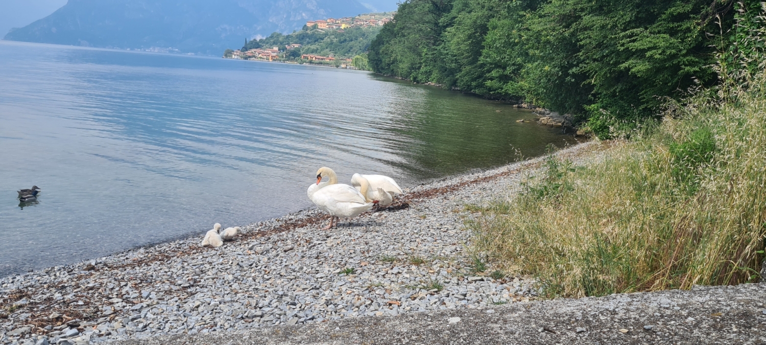 Monolocale con terrazzo a Monte Isola