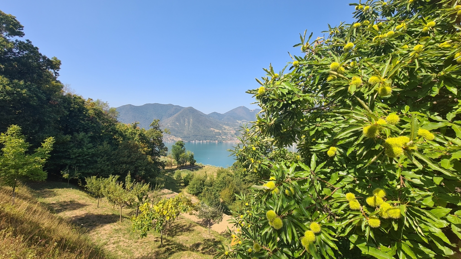 Terreno nuovo a Monte Isola