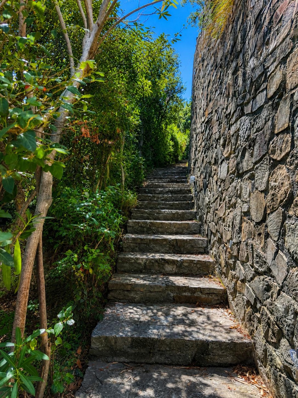 Casa indipendente con giardino a Castiglione della Pescaia