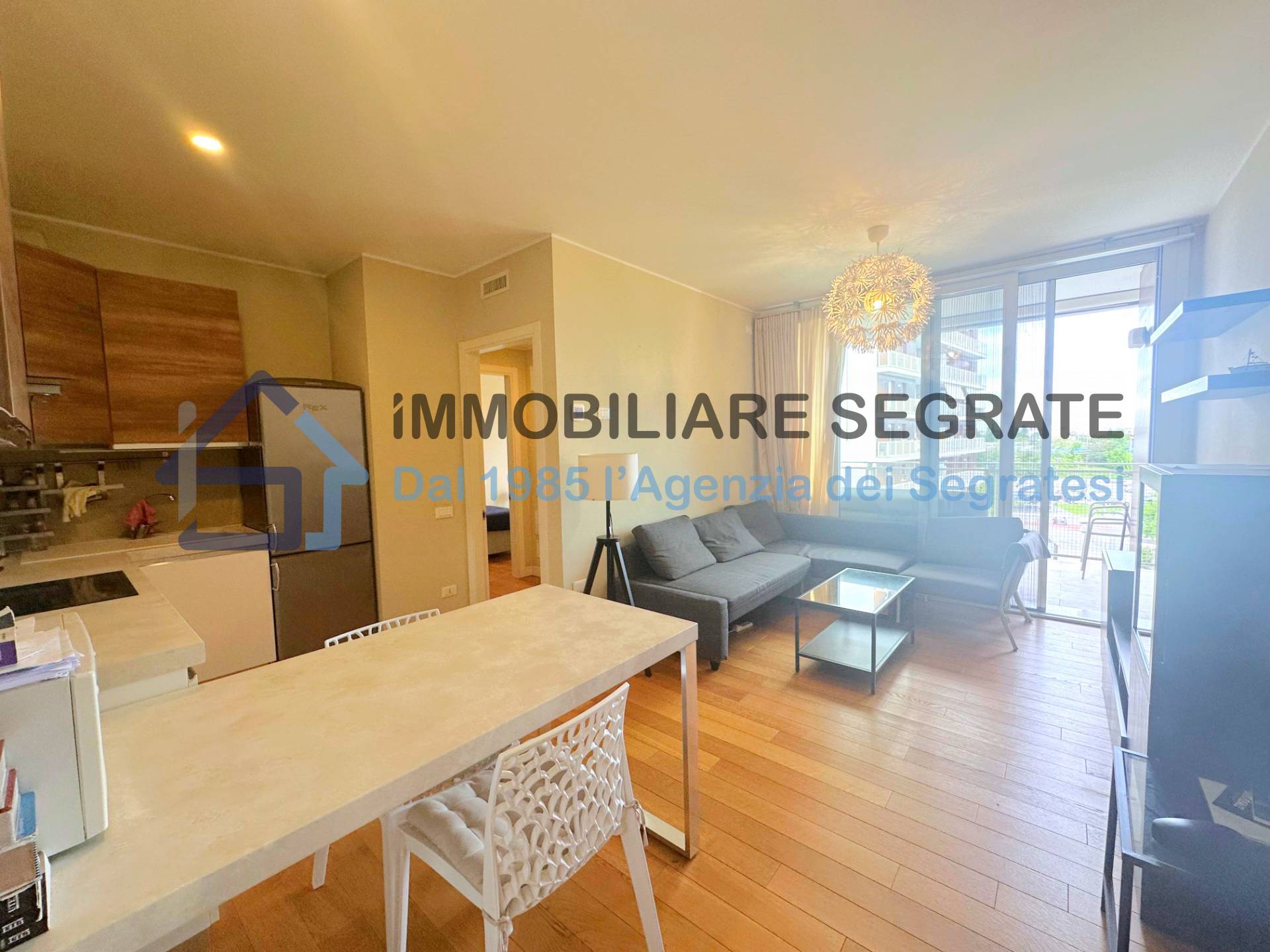 2 Locali in affitto a Segrate