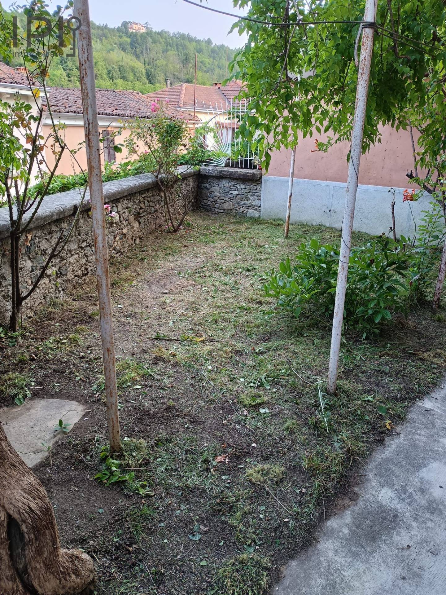 immagine annuncio 2 di 6