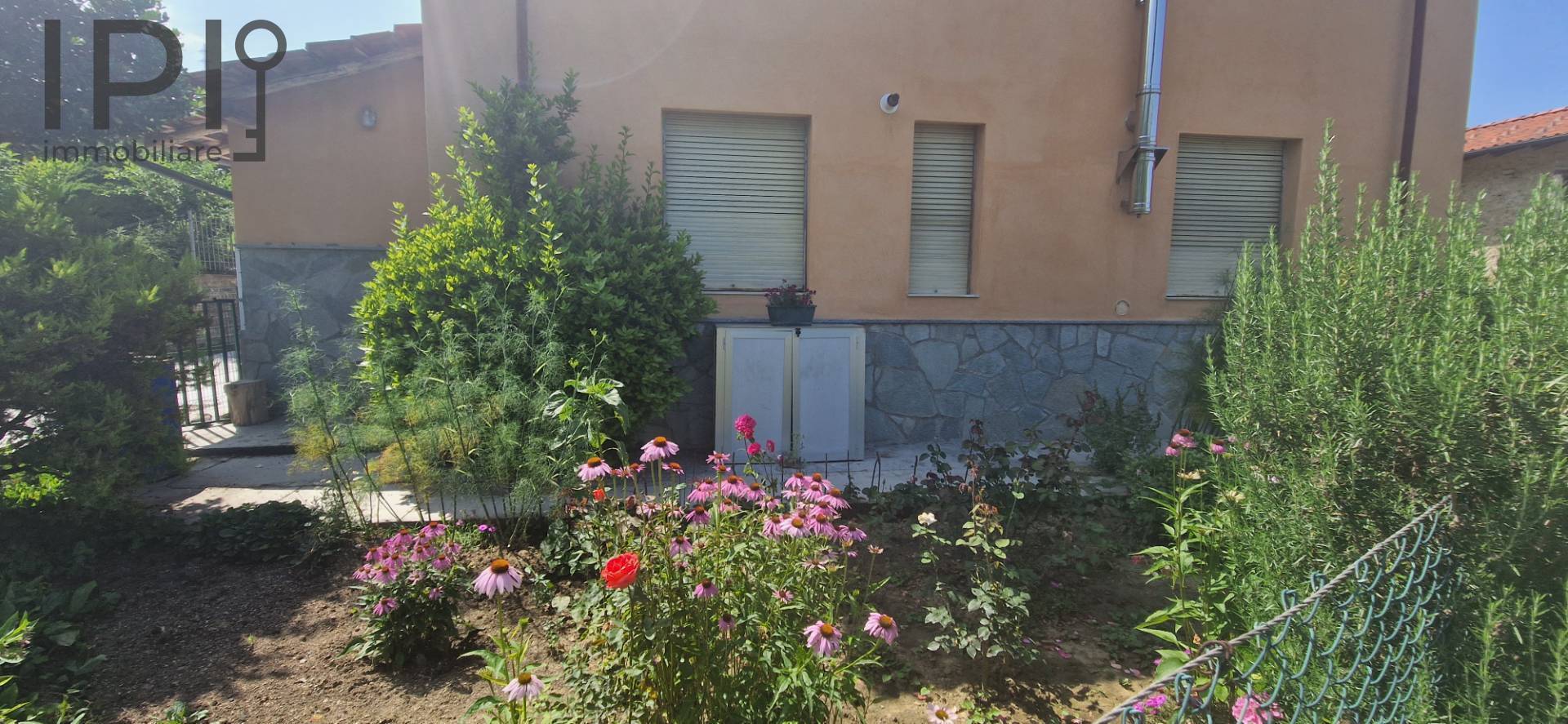 immagine annuncio 3 di 6