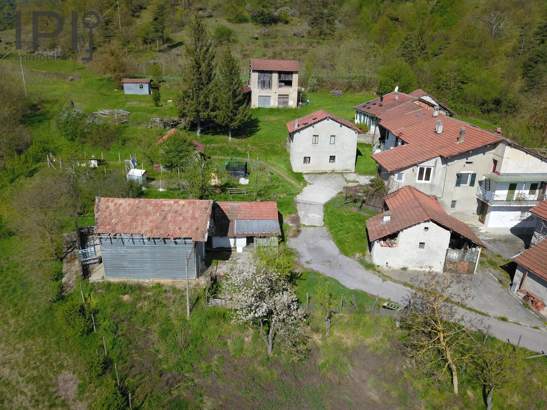 immagine annuncio 3 di 6