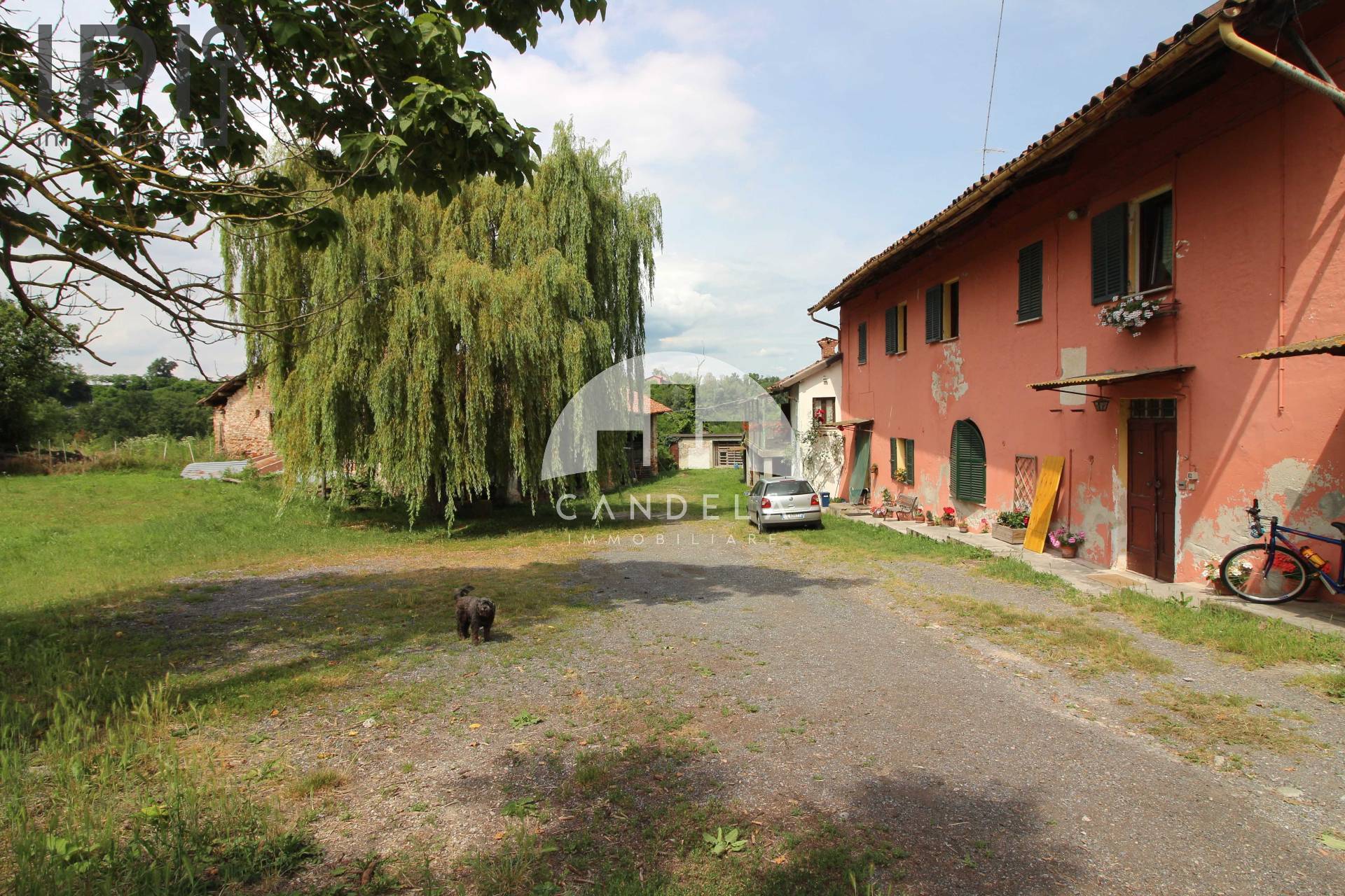 immagine annuncio 1 di 6