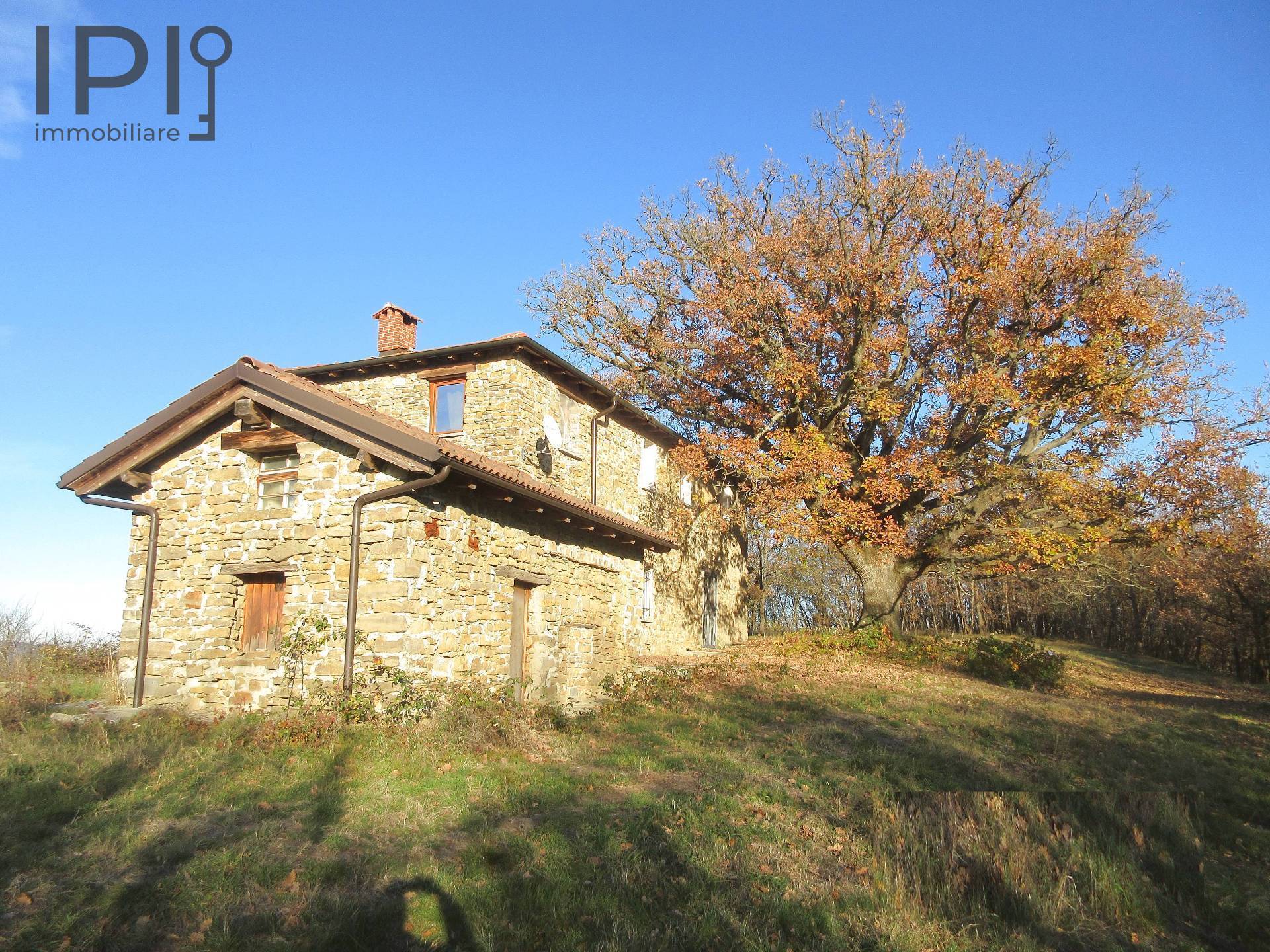 Casa Rustica in vendita a Piana Crixia