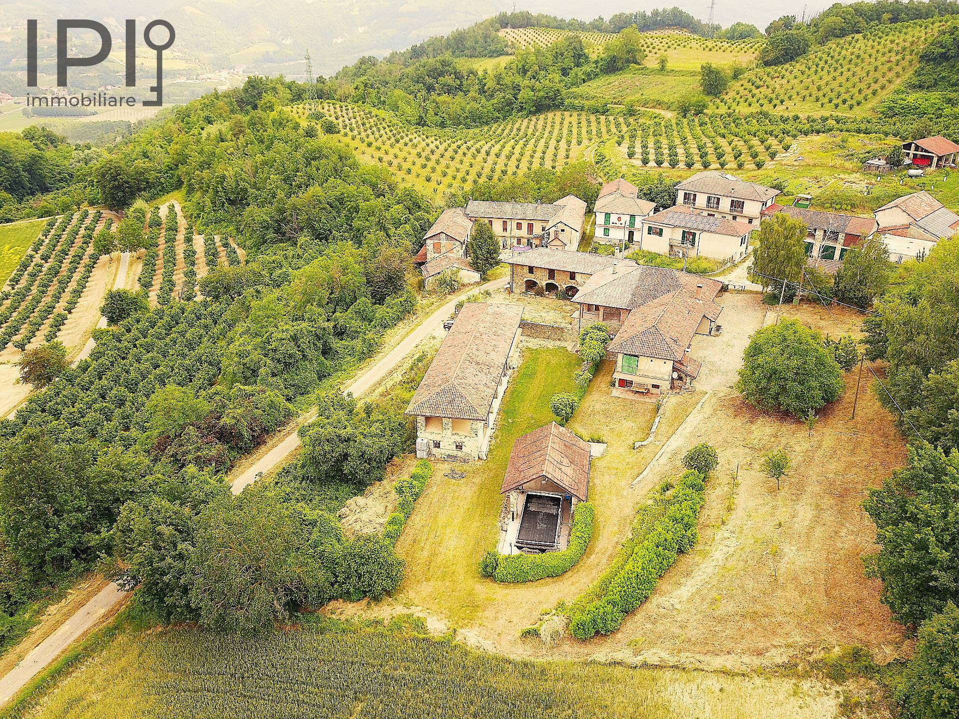 Cascinale / Podere in vendita a Cessole