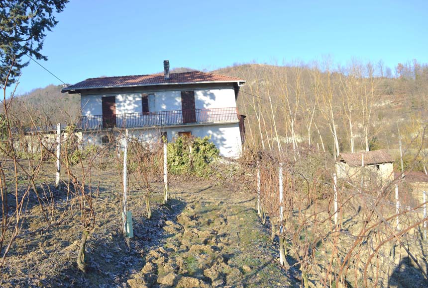 Cascinale / Podere in vendita a Loazzolo