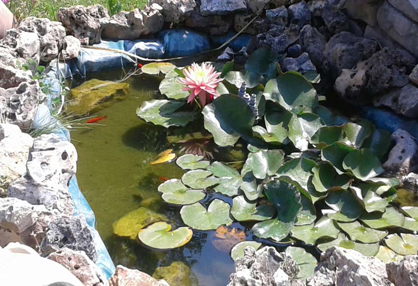 Villa Padronale in vendita a Piana Crixia