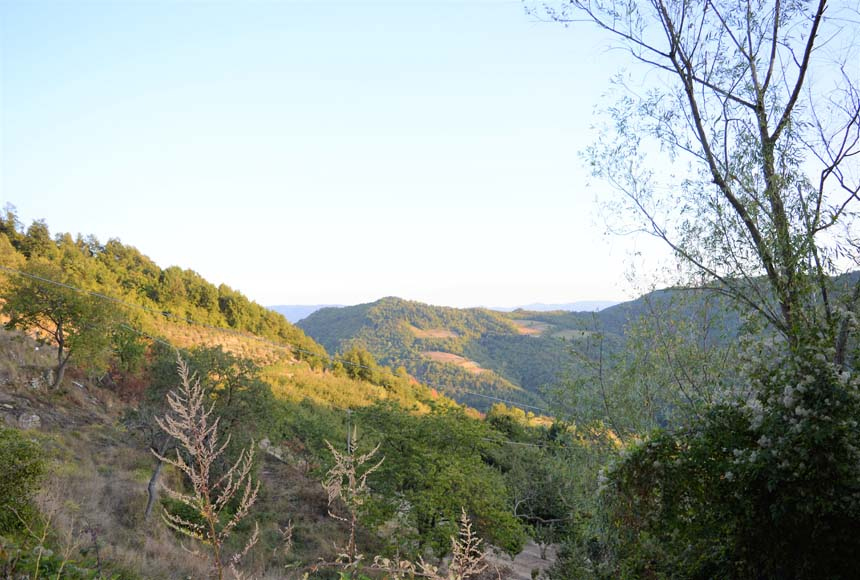 Casa Rustica in vendita a Serole