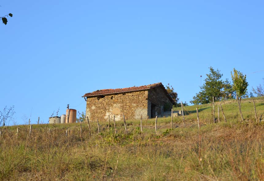 Casa Rustica in vendita a Piana Crixia, Villa