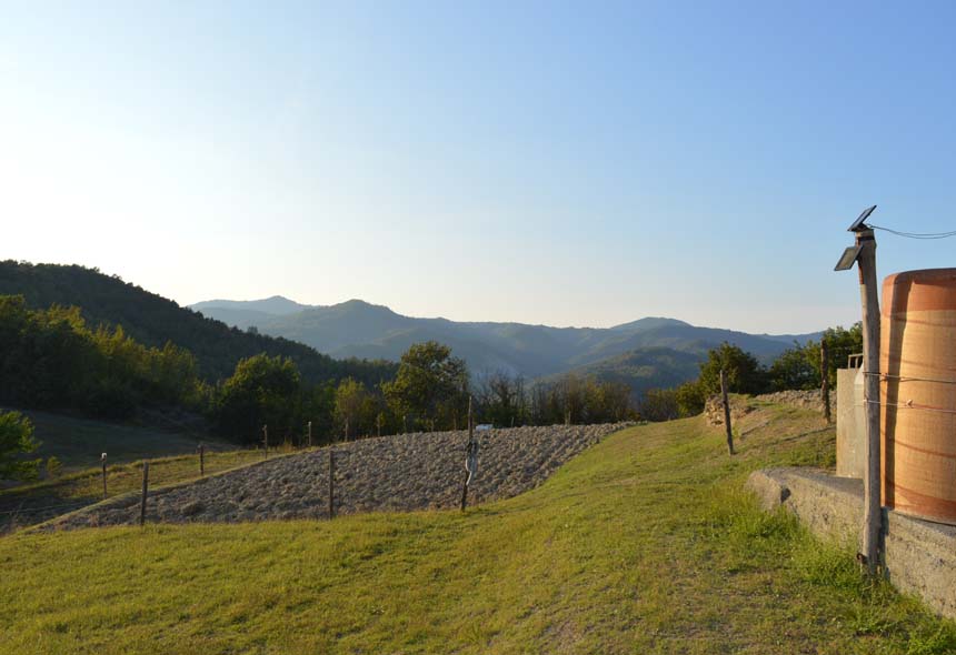 Casa Rustica in vendita a Piana Crixia, Villa