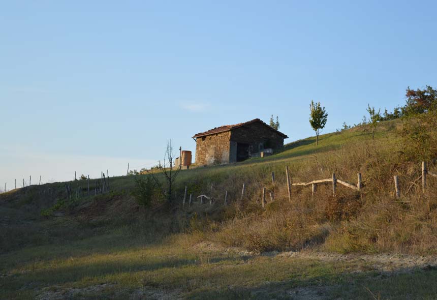 Casa Rustica in vendita a Piana Crixia, Villa