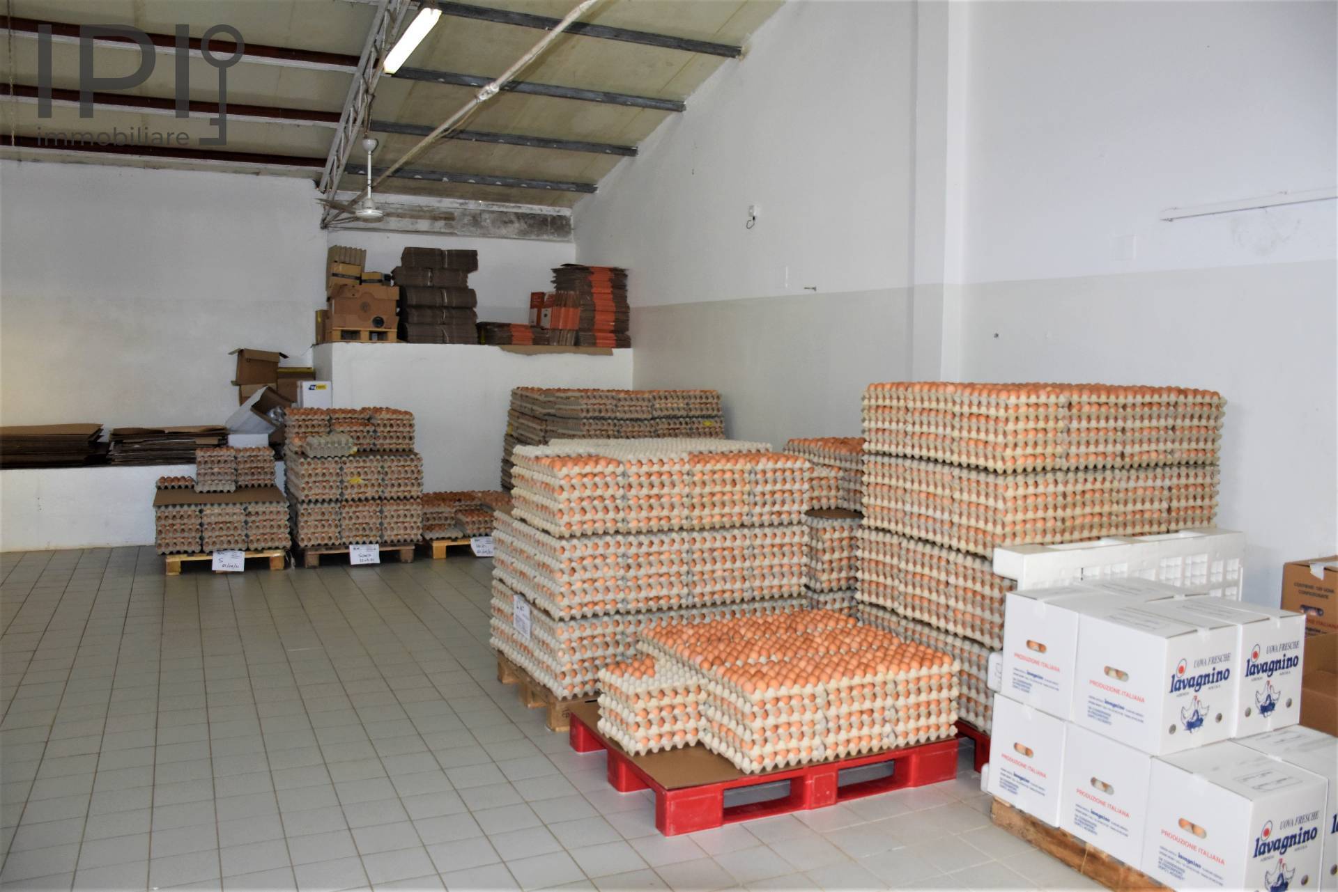 Capannone in vendita a Spigno Monferrato