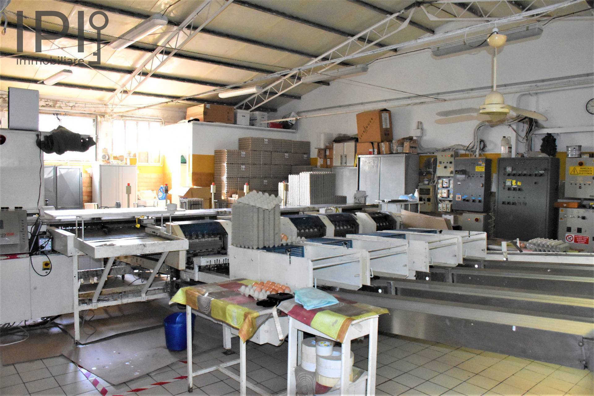 Capannone in vendita a Spigno Monferrato