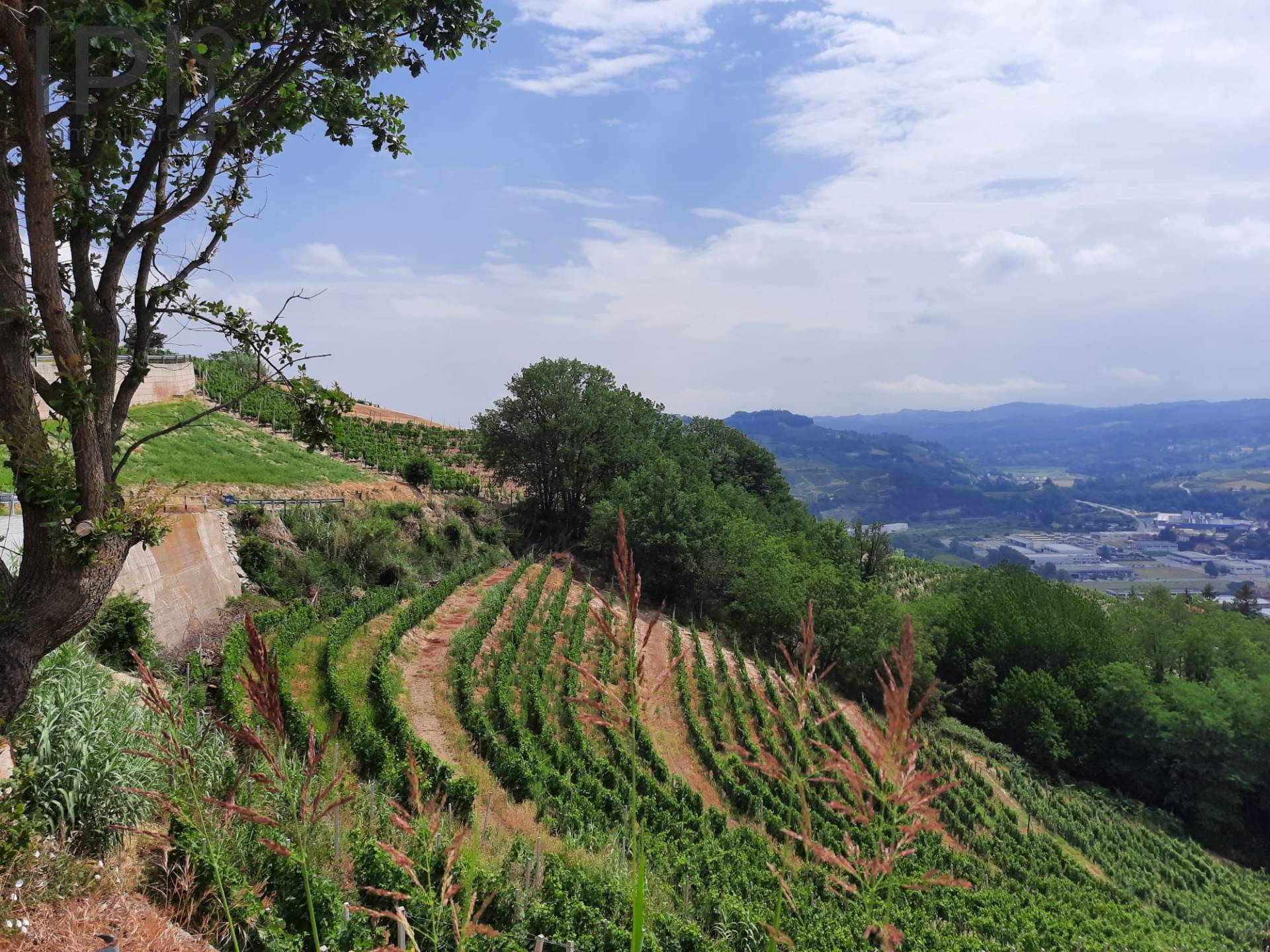 Villa / Villetta in vendita a Santo Stefano Belbo