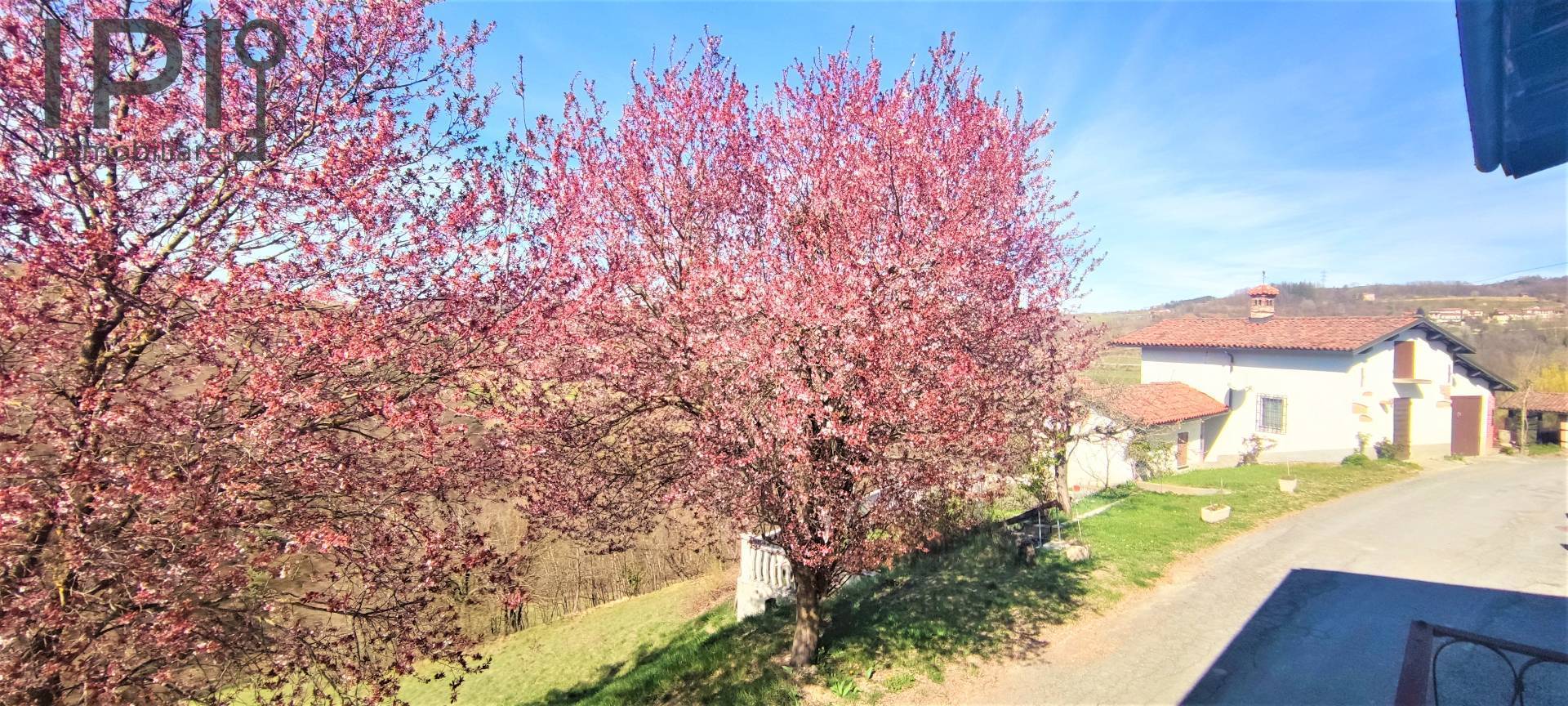 Villa / Villetta - Semindipendente in vendita a Sale delle Langhe