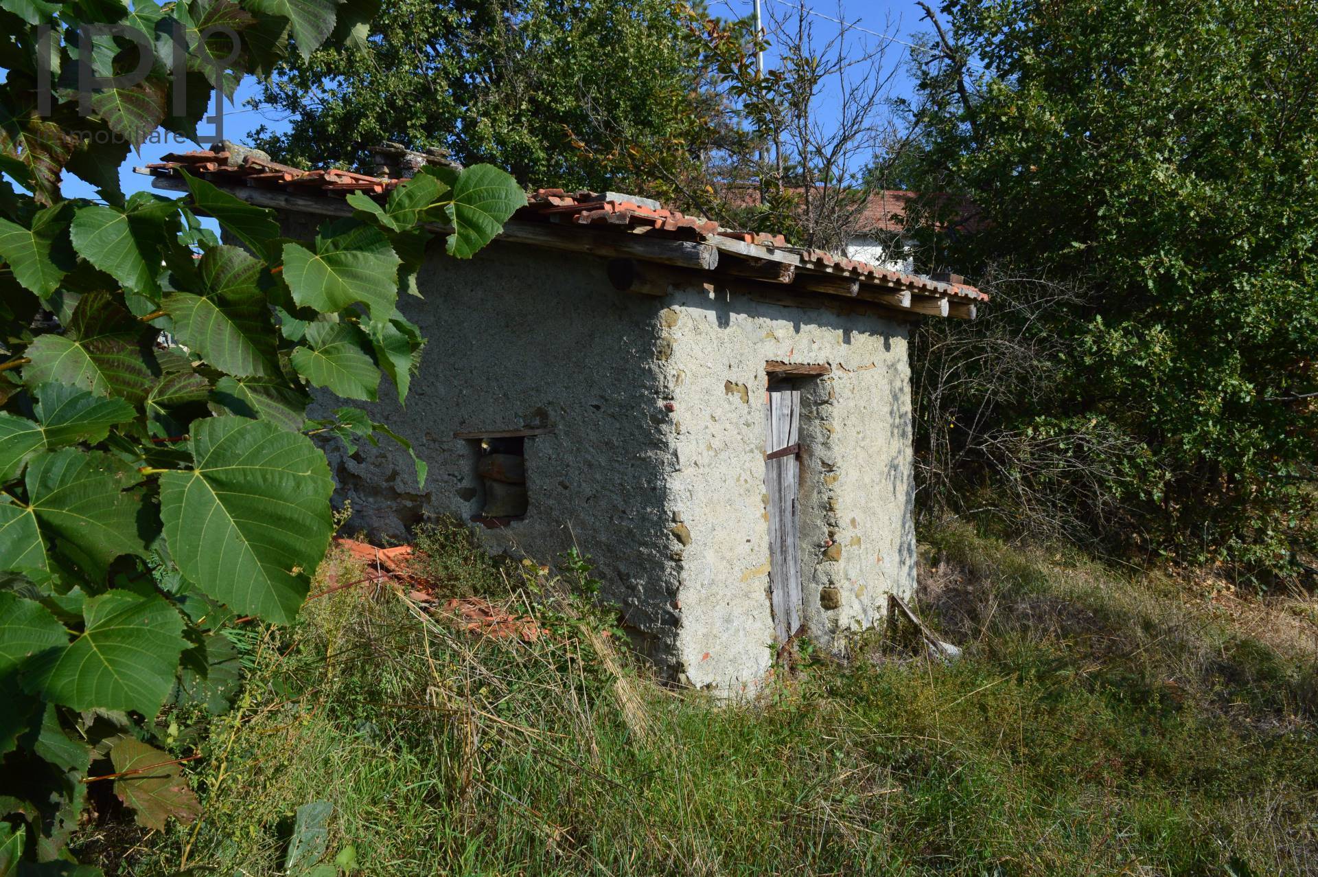 Casa in vendita a Ponzone