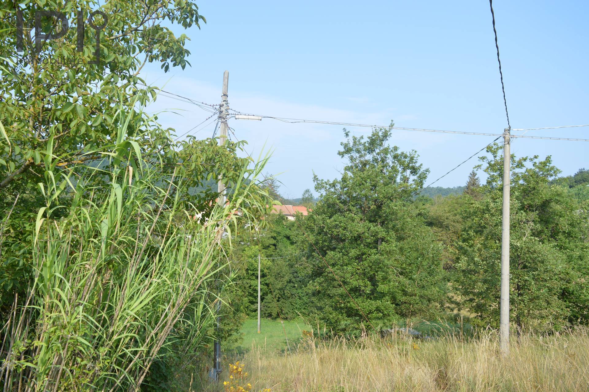 Villa Padronale in vendita a Pareto