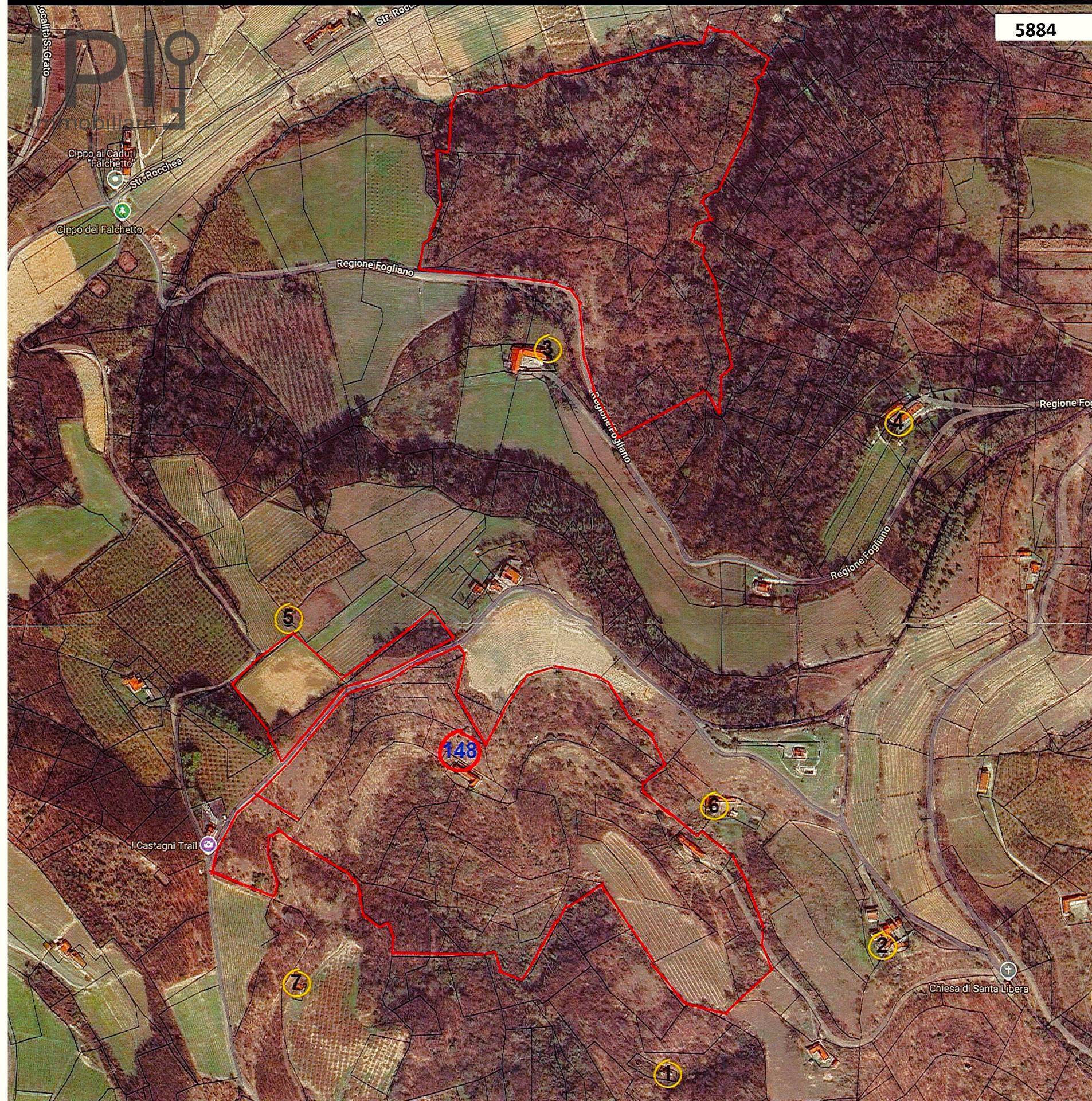 Cascinale / Podere in vendita a Loazzolo