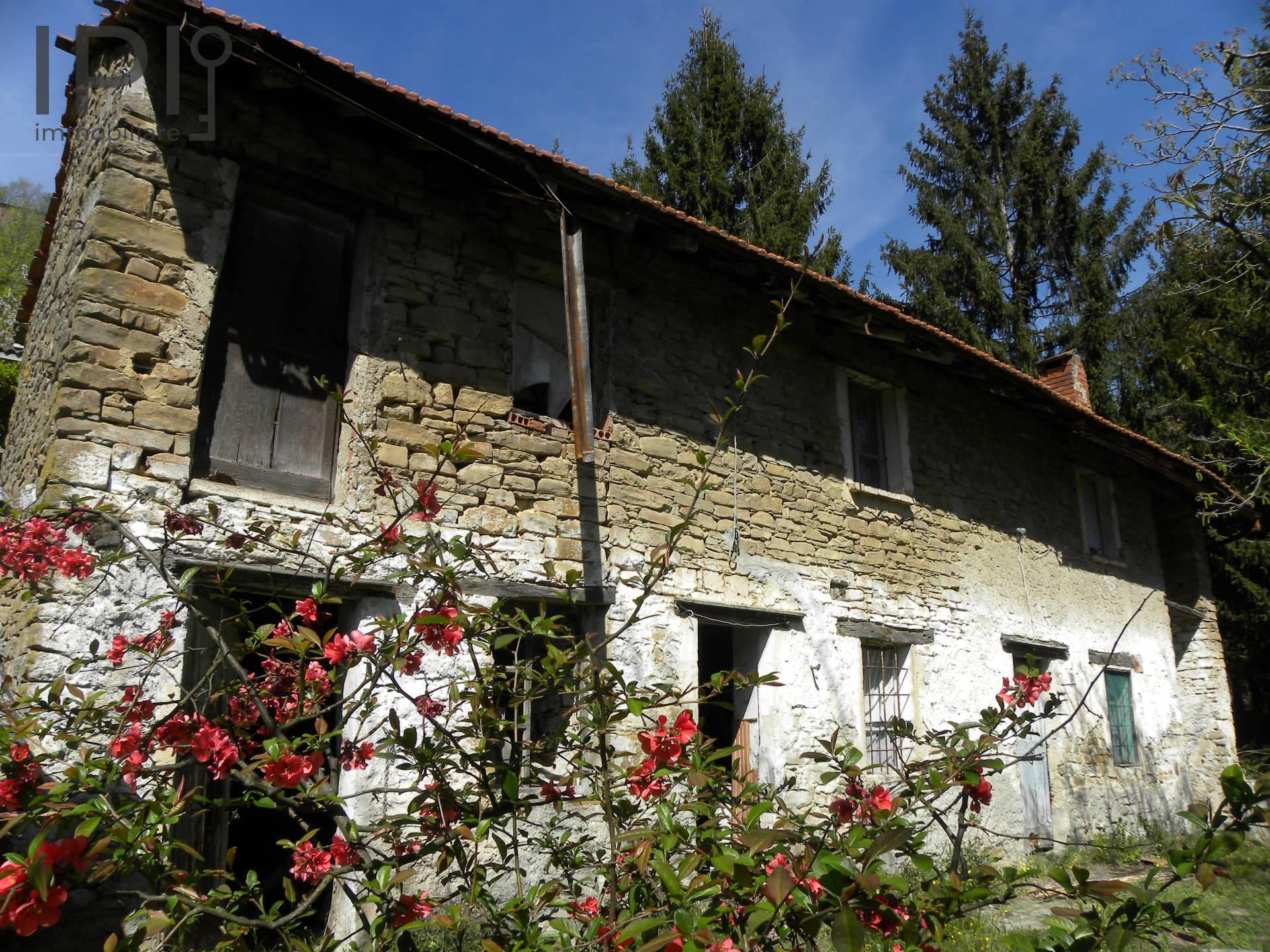 Casa Rustica in vendita a Castelletto d'Erro