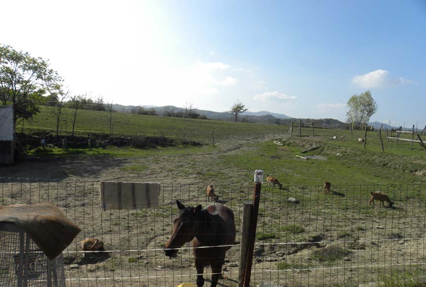 Casa in vendita a Dego