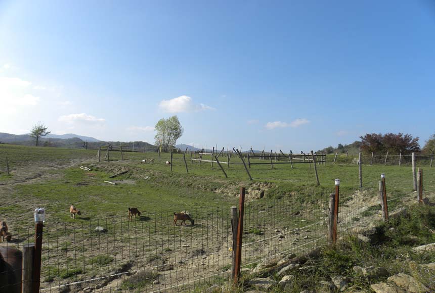 Casa in vendita a Dego