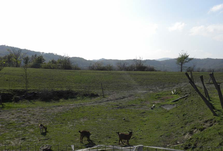 Casa in vendita a Dego