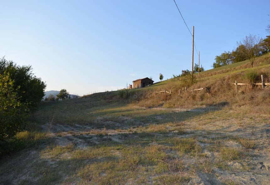 Casa Rustica in vendita a Piana Crixia, Villa