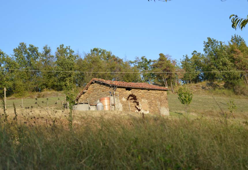 Casa Rustica in vendita a Piana Crixia, Villa