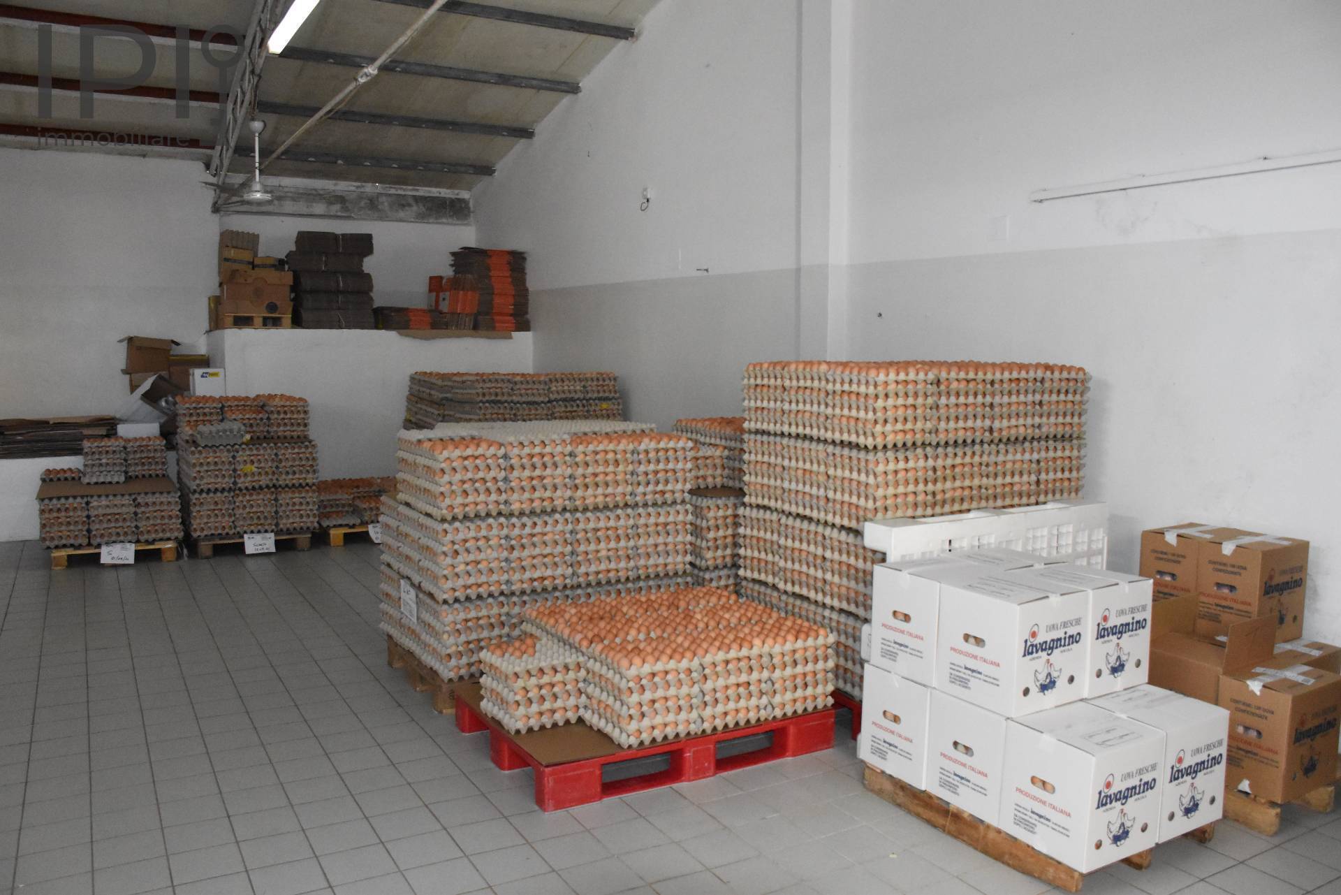 Capannone in vendita a Spigno Monferrato