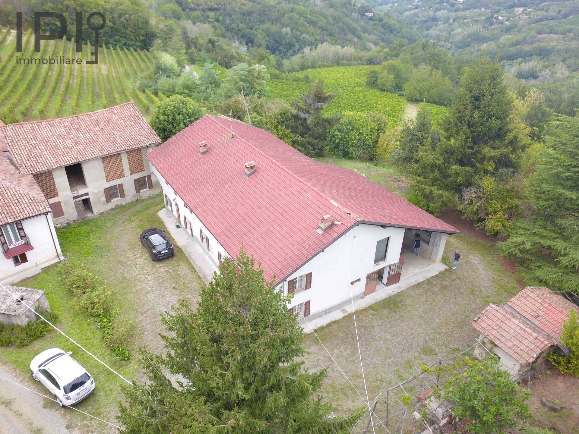 Cascinale / Podere in vendita a Rocchetta Palafea, Palareta