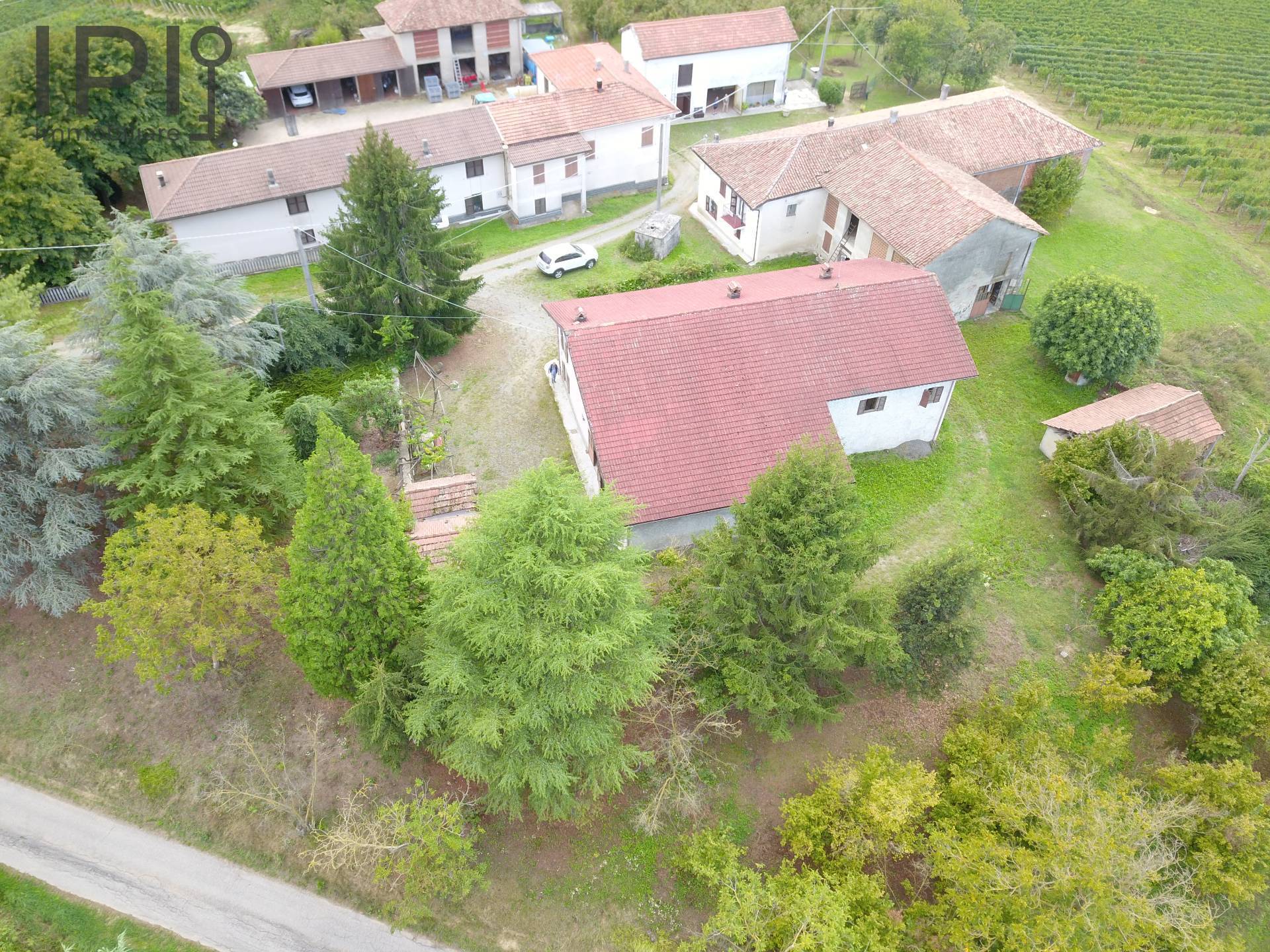 Cascinale / Podere in vendita a Rocchetta Palafea, Palareta