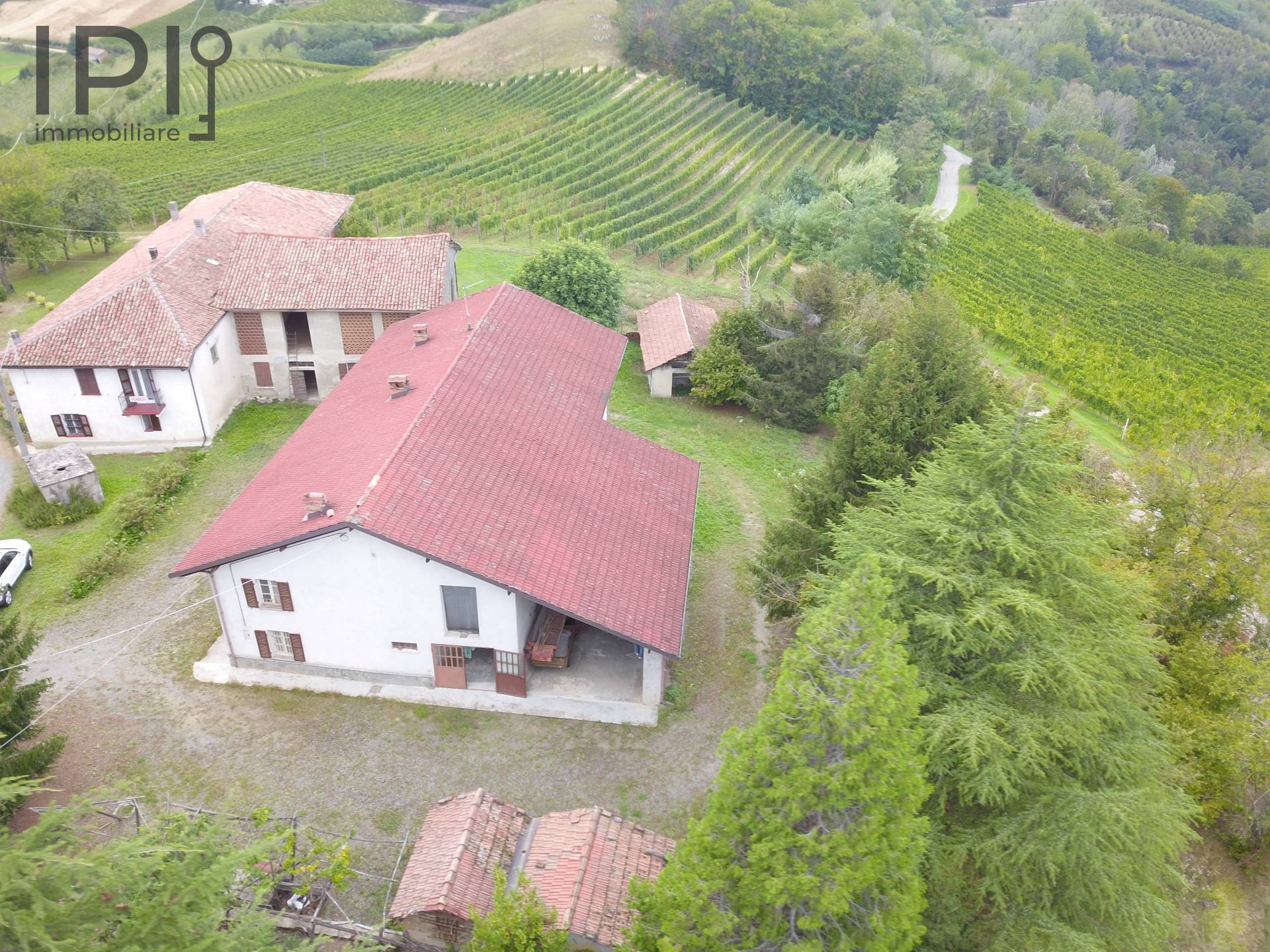 Cascinale / Podere in vendita a Rocchetta Palafea, Palareta