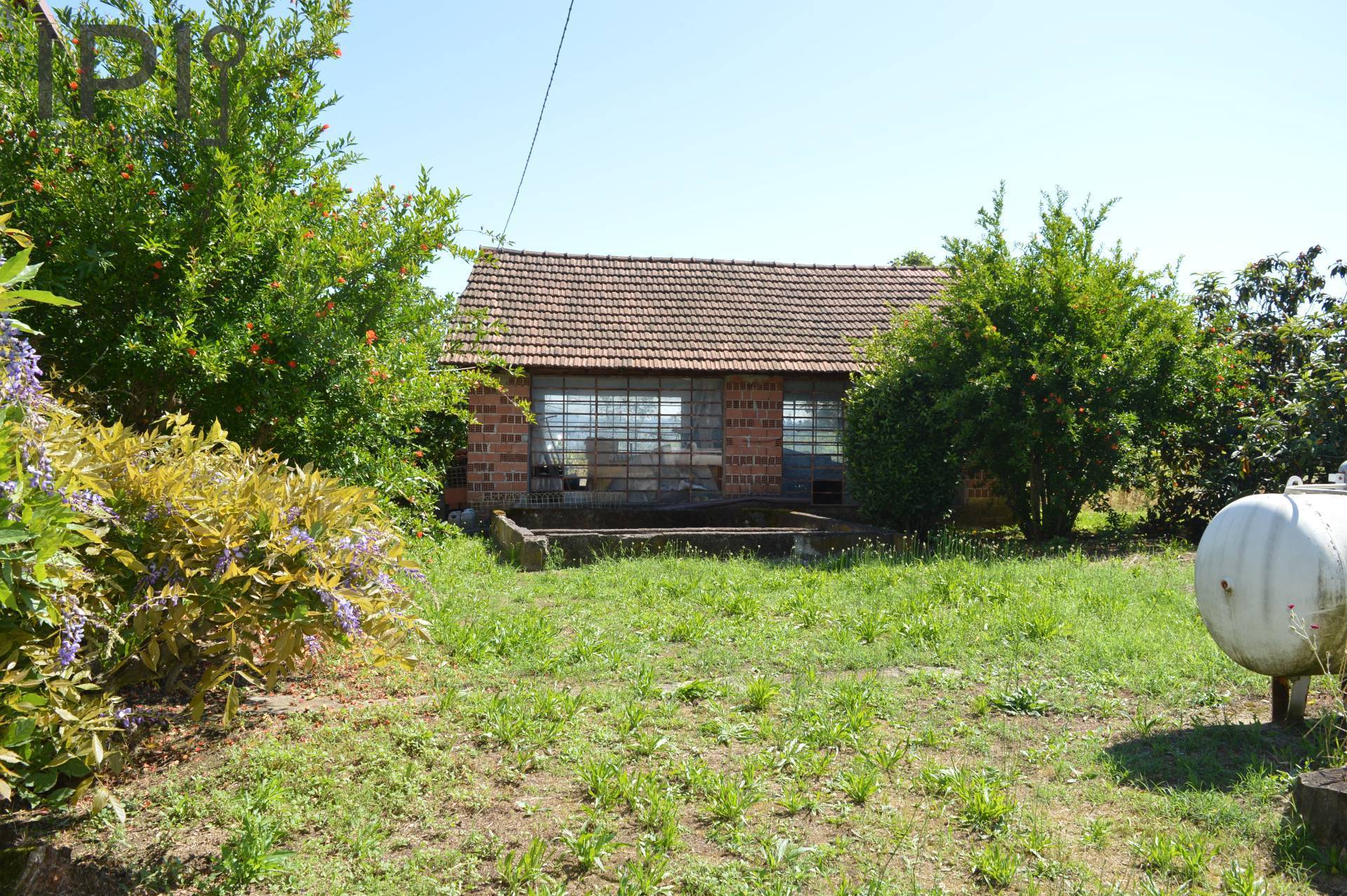 Casa Rustica in vendita a Vaglio Serra, La Serra