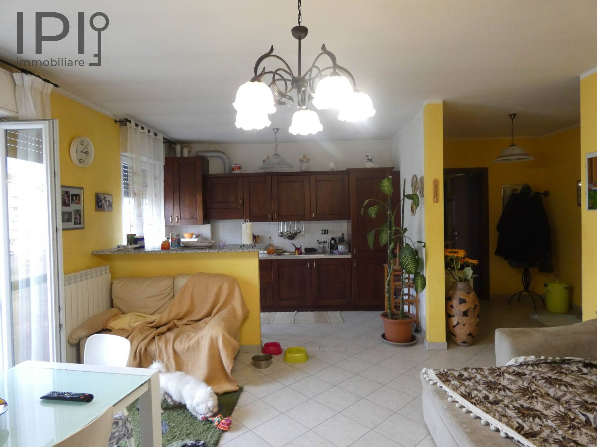 Appartamento in vendita a Cairo Montenotte