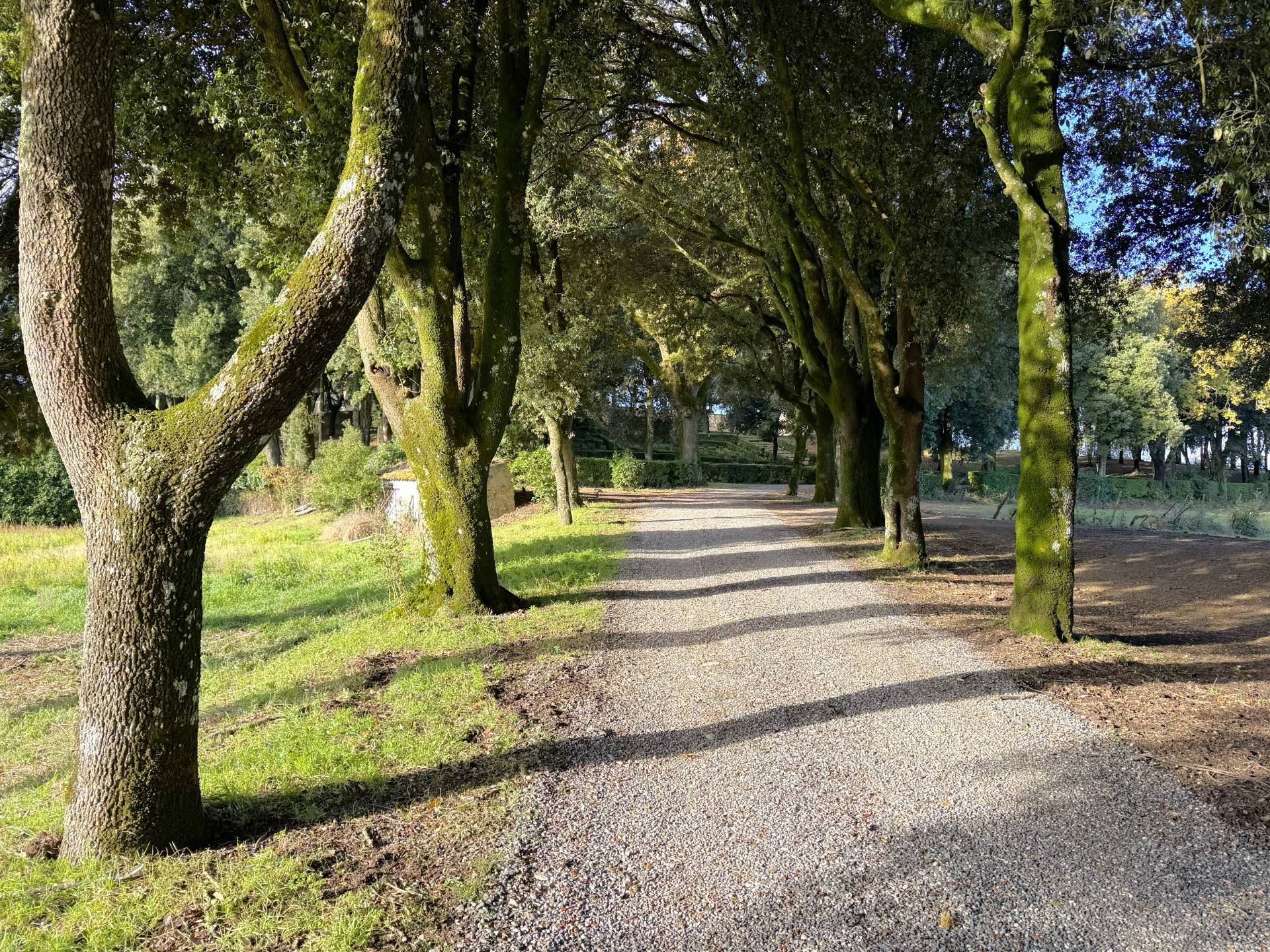 Casa singola in vendita a Castel Viscardo