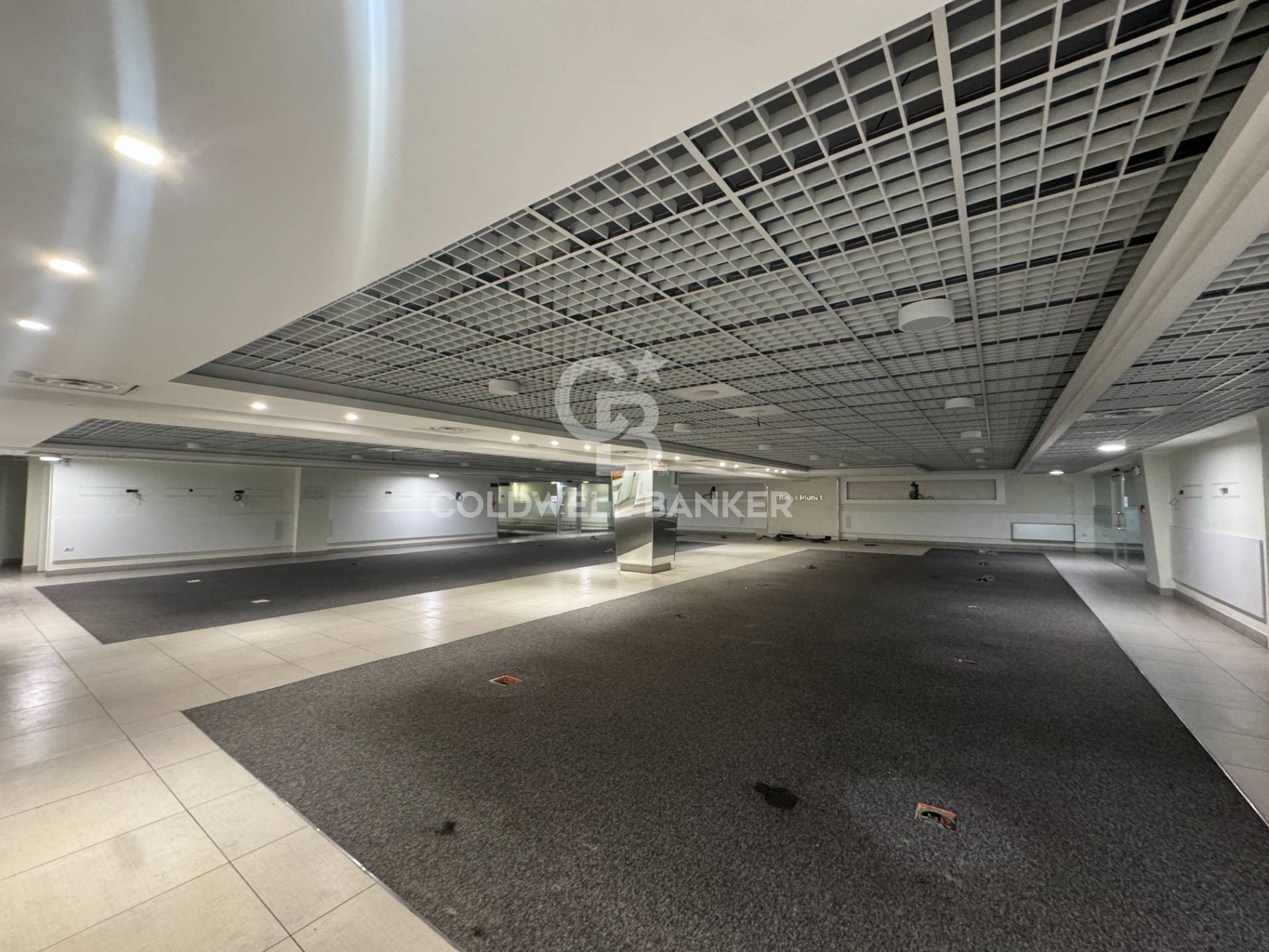 Locale commerciale in affitto a Roma, Finocchio