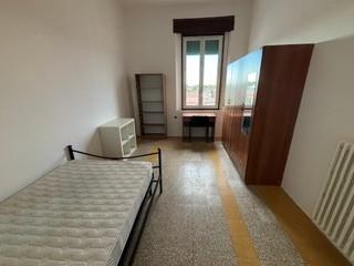 Stanza Singola in affitto, Pisa ingegneria