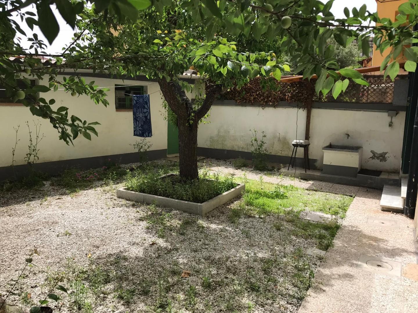 Stanza Singola con giardino, Pisa ingegneria