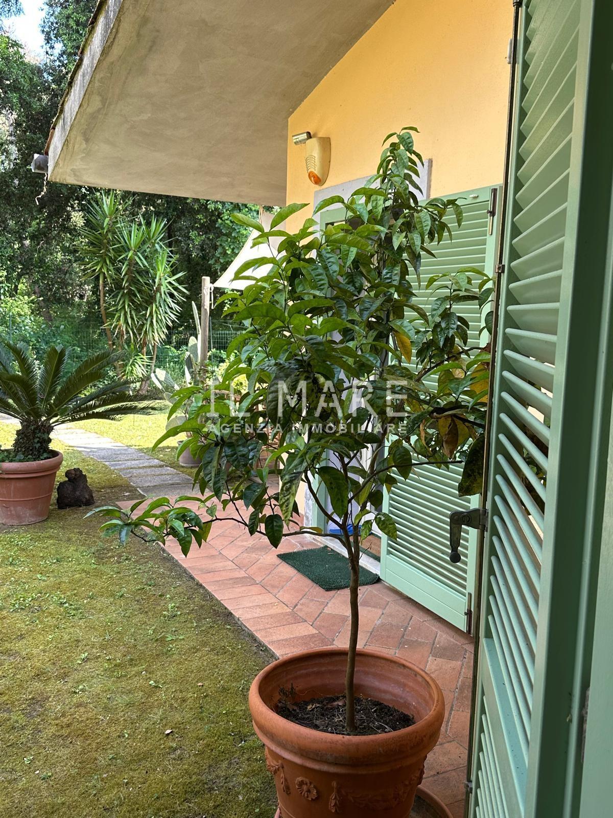 Villa con giardino, Massa ronchi