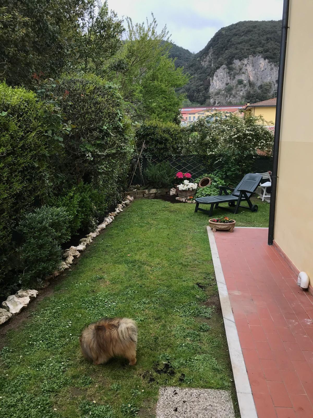 Quadrilocale con giardino, Montignoso renella