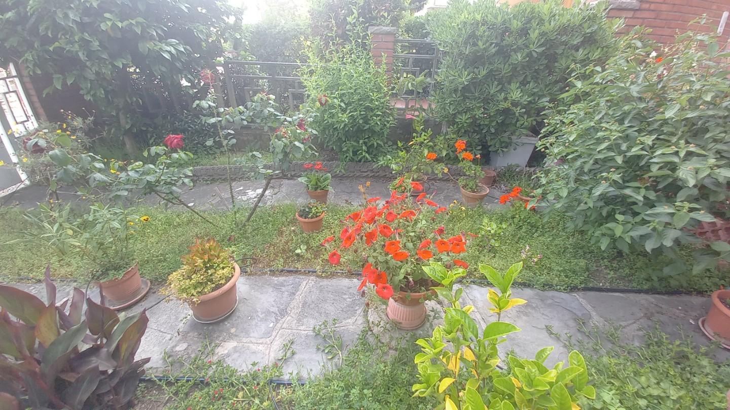 Villa arredata in affitto, Camaiore lido di