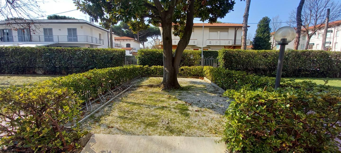 Bilocale arredato in affitto, Camaiore lido di