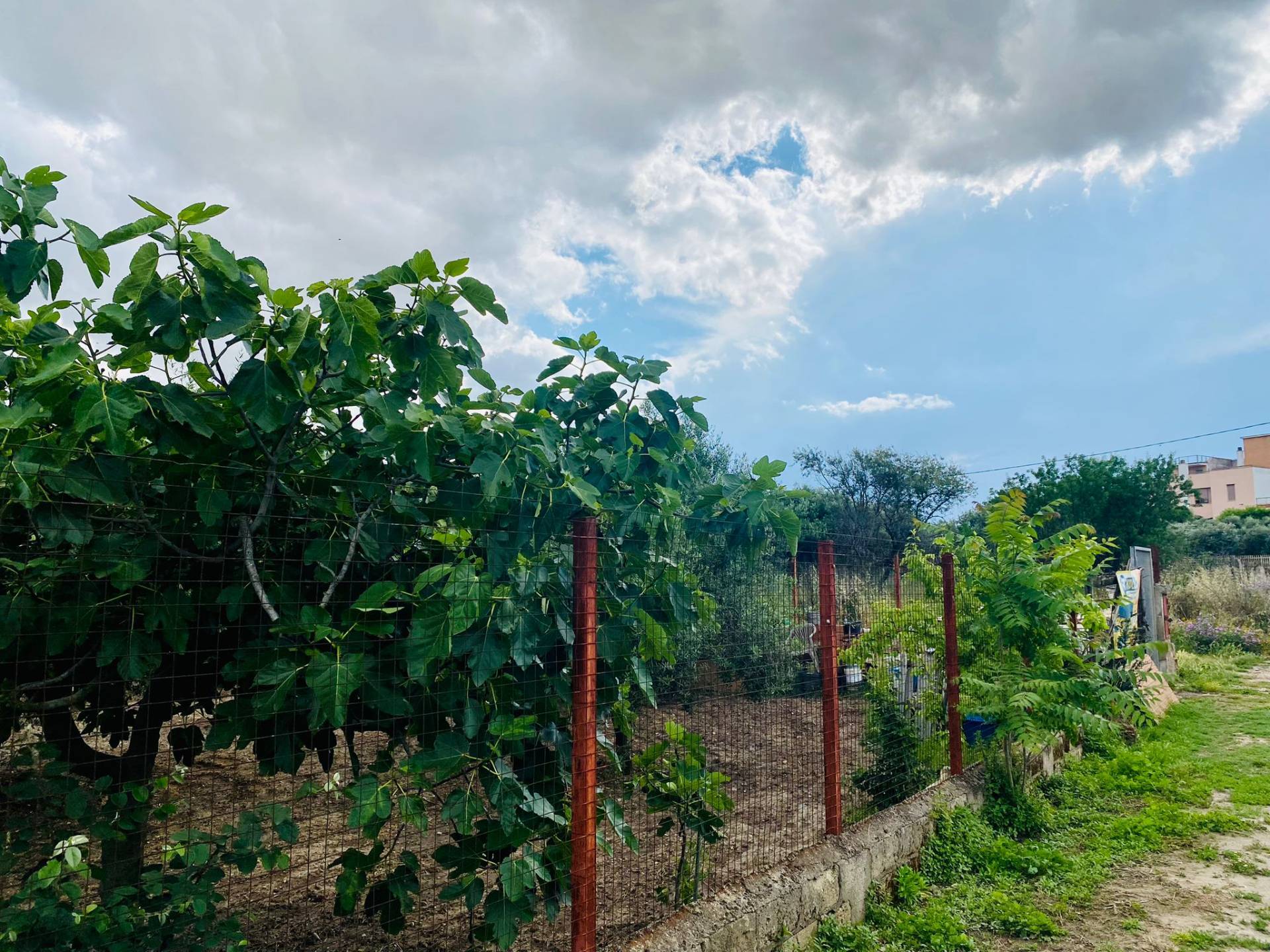 Terreno edificabile in vendita a Lucera