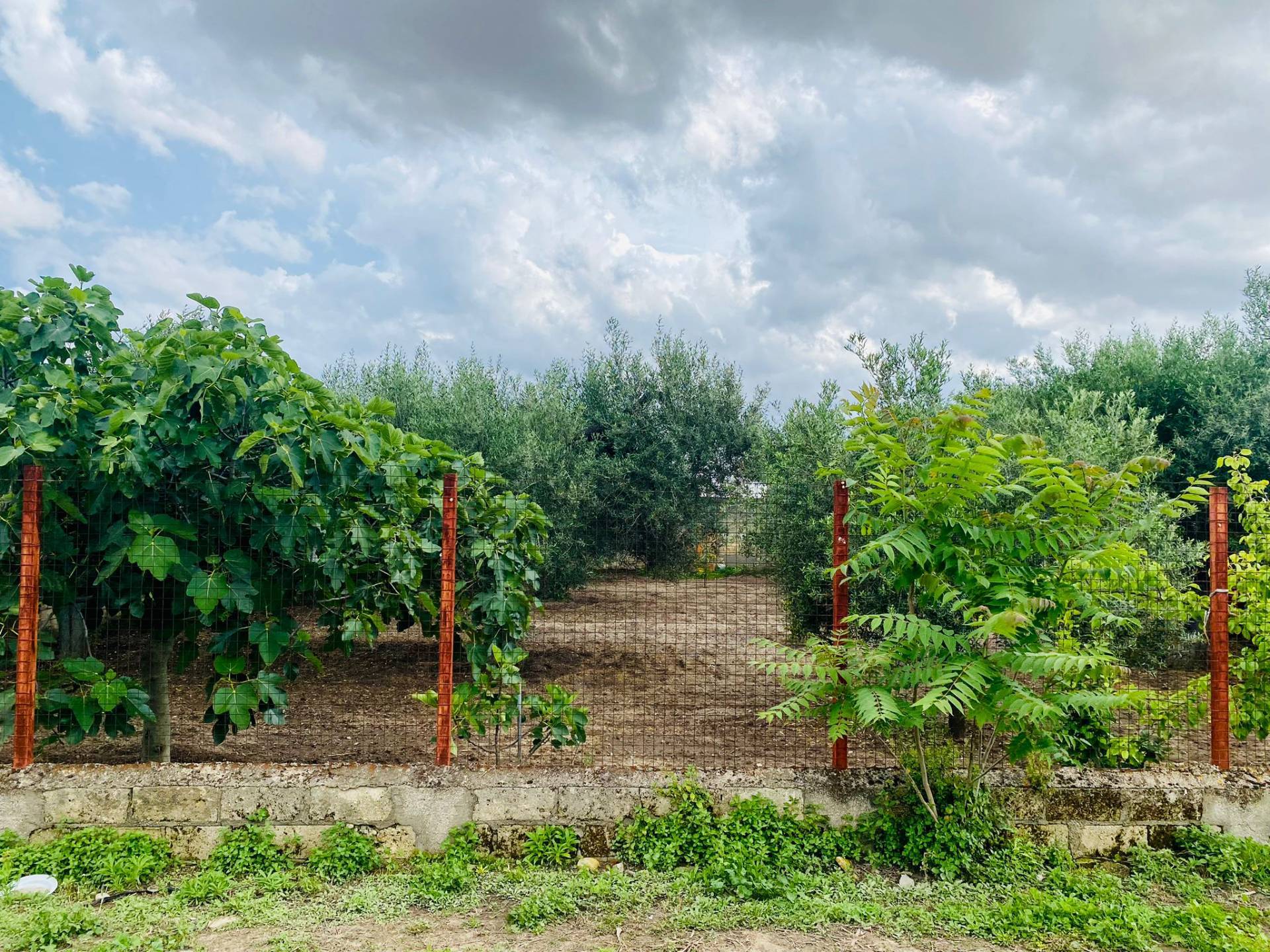 Terreno edificabile in vendita a Lucera