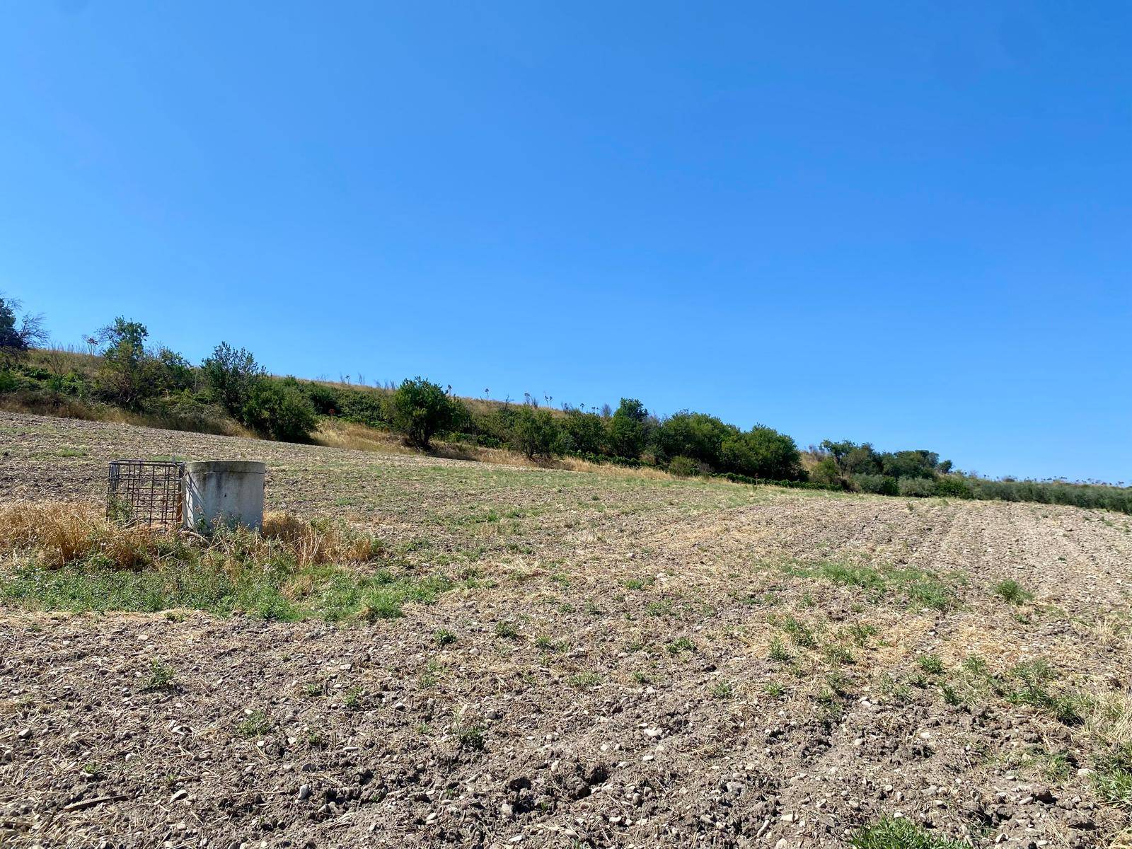 Terreno Agricolo in vendita a Lucera