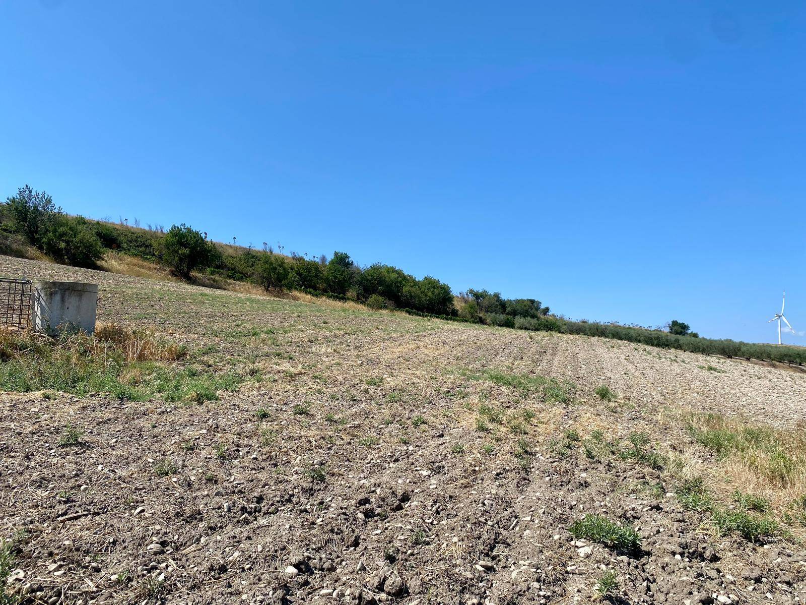 Terreno Agricolo in vendita a Lucera