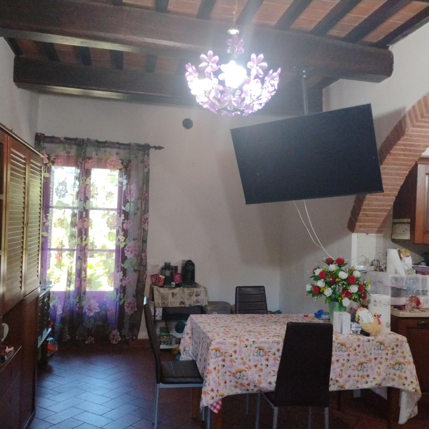 Appartamento con giardino a Fauglia