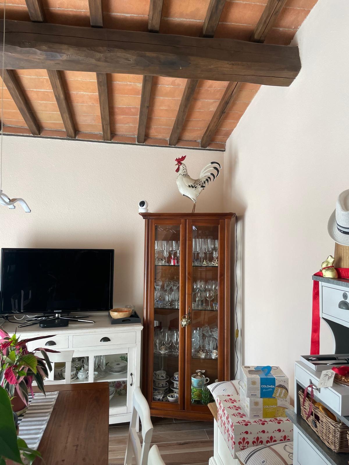 Appartamento in vendita a Fauglia