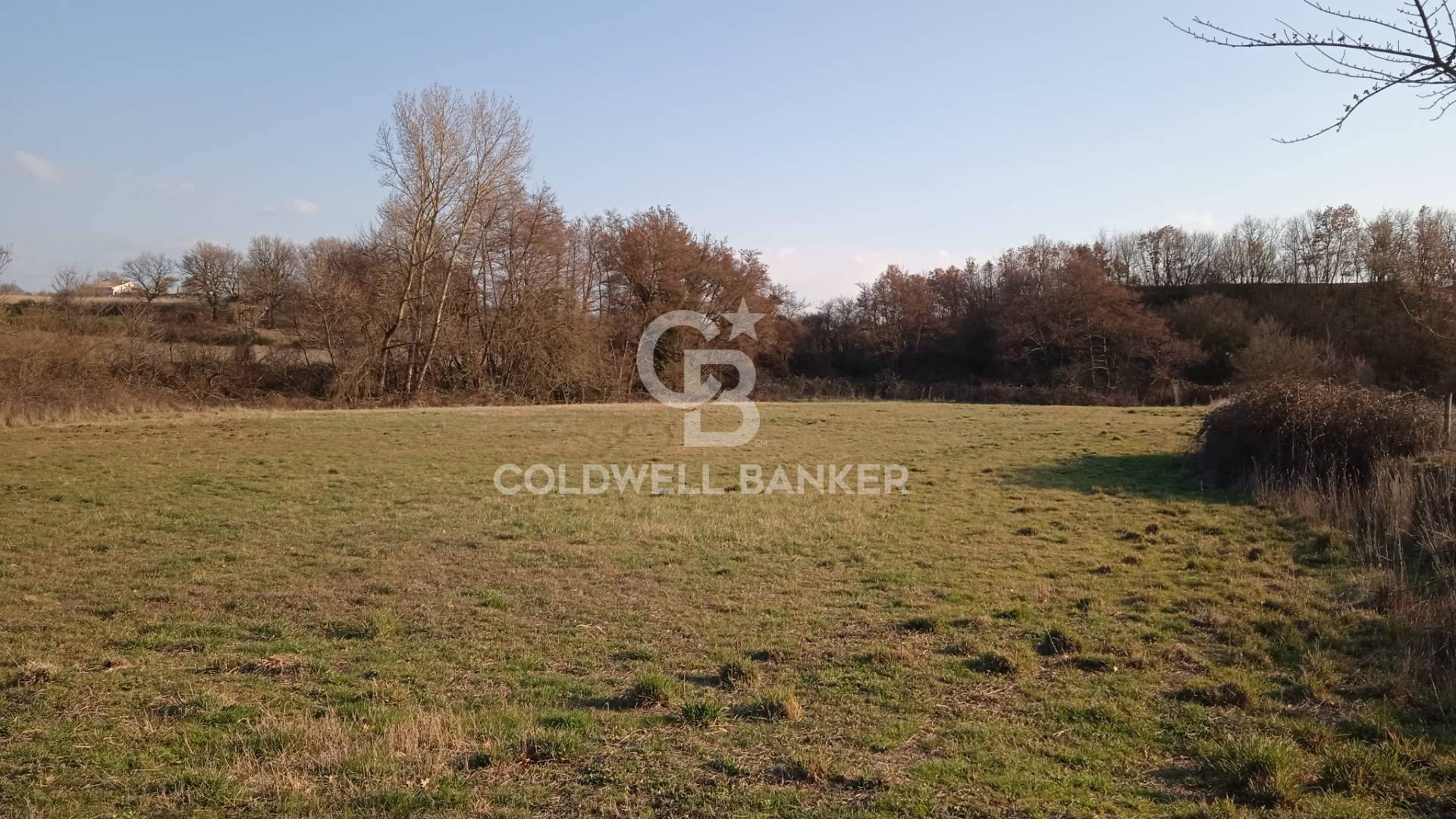 Terreno agricolo in vendita a Nepi